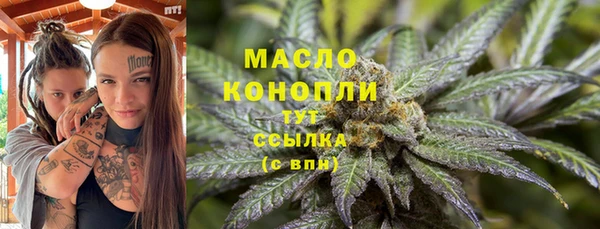 прущая мука Арсеньев