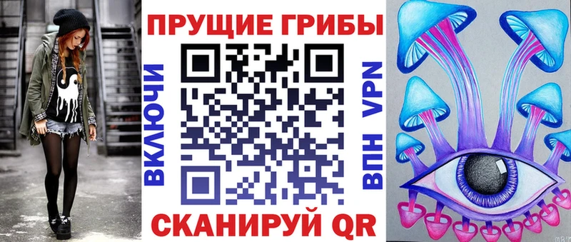 Купить Горячий Ключ Псилоцибиновые грибы Cubensis